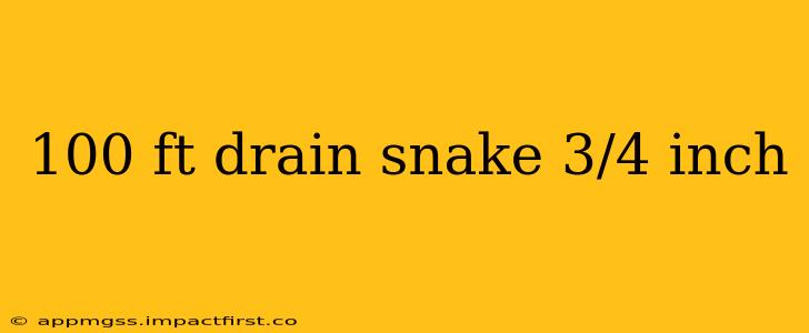 100 ft drain snake 3/4 inch