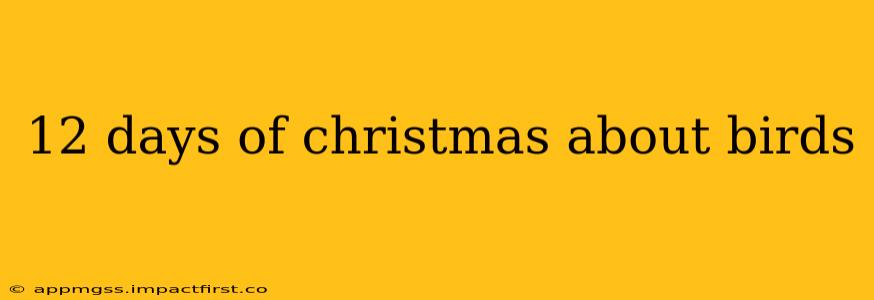 12 days of christmas about birds