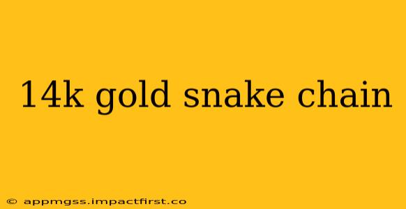14k gold snake chain
