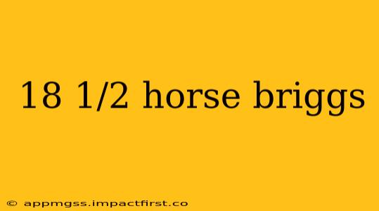 18 1/2 horse briggs
