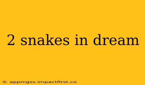 2 snakes in dream