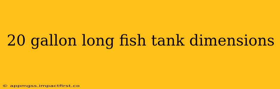 20 gallon long fish tank dimensions