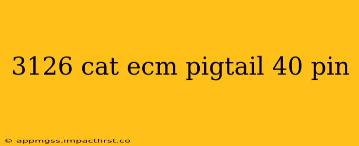 3126 cat ecm pigtail 40 pin
