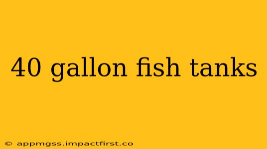 40 gallon fish tanks