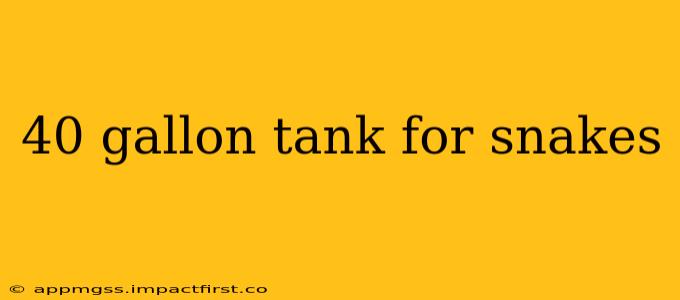 40 gallon tank for snakes