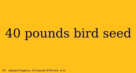 40 pounds bird seed