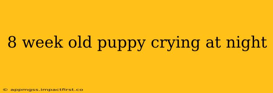 8 week old puppy crying at night