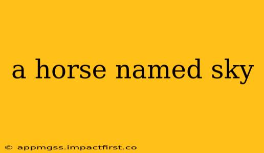 a horse named sky