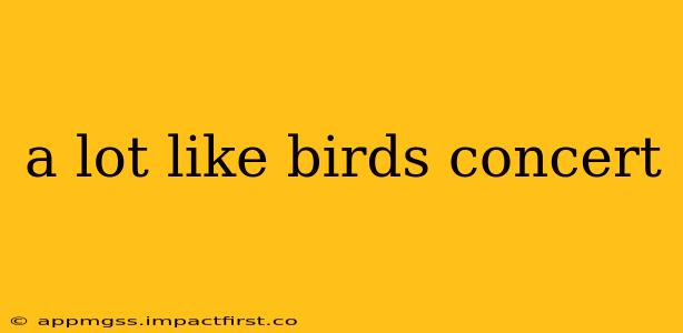 a lot like birds concert