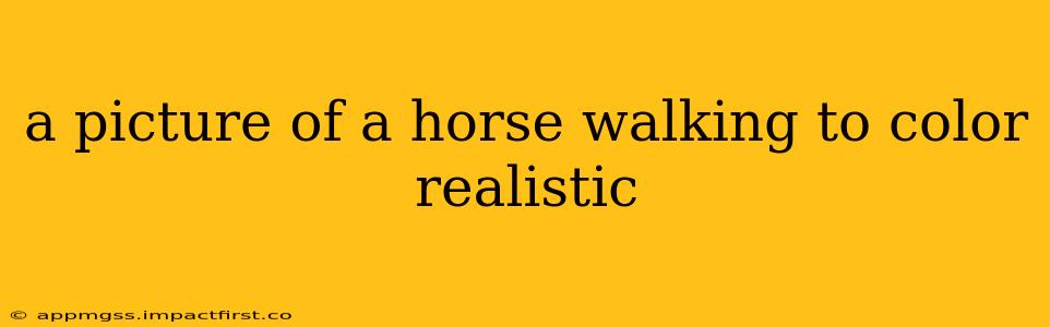 a picture of a horse walking to color realistic