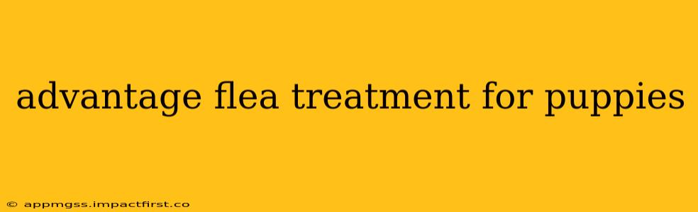 advantage flea treatment for puppies