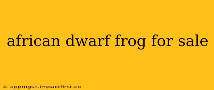 african dwarf frog for sale