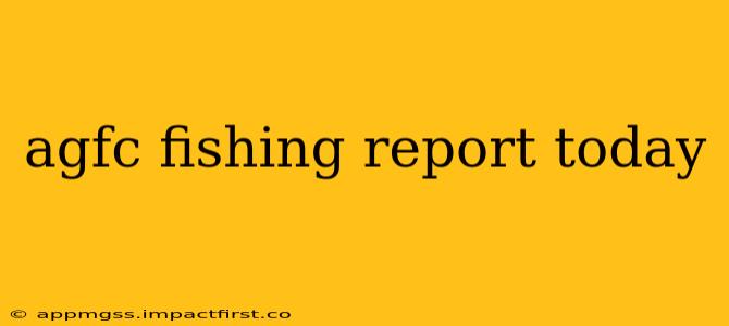 agfc fishing report today
