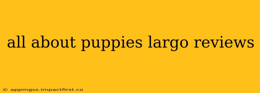all about puppies largo reviews