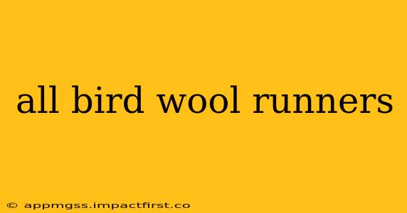 all bird wool runners