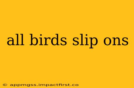 all birds slip ons