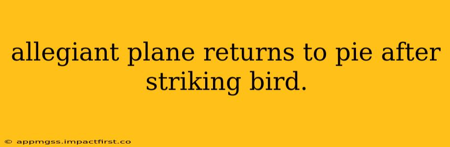 allegiant plane returns to pie after striking bird.