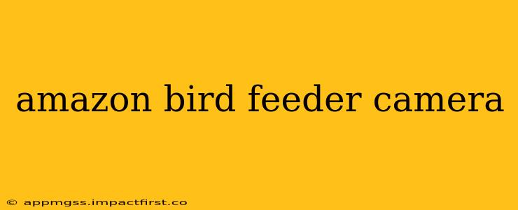amazon bird feeder camera