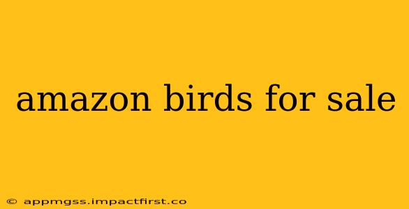 amazon birds for sale