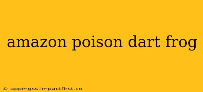 amazon poison dart frog