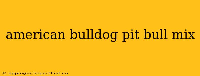 american bulldog pit bull mix