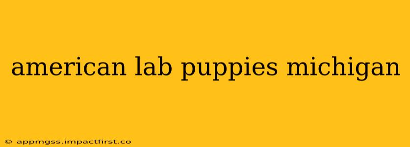 american lab puppies michigan