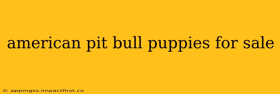 american pit bull puppies for sale