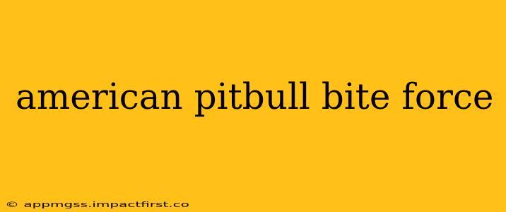 american pitbull bite force