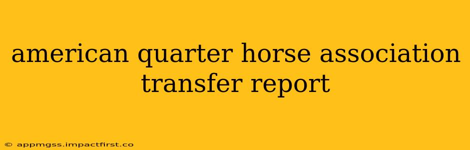 american quarter horse association transfer report