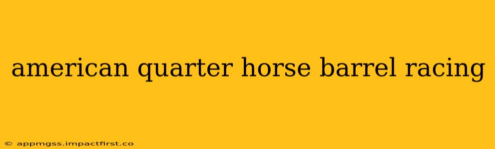 american quarter horse barrel racing