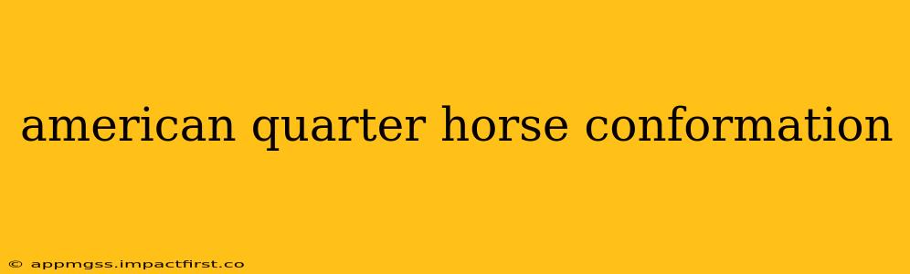 american quarter horse conformation