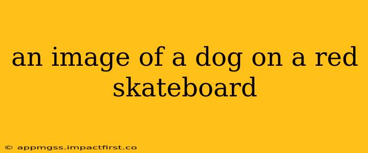 an image of a dog on a red skateboard
