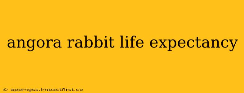 angora rabbit life expectancy