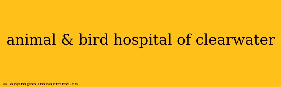 animal & bird hospital of clearwater