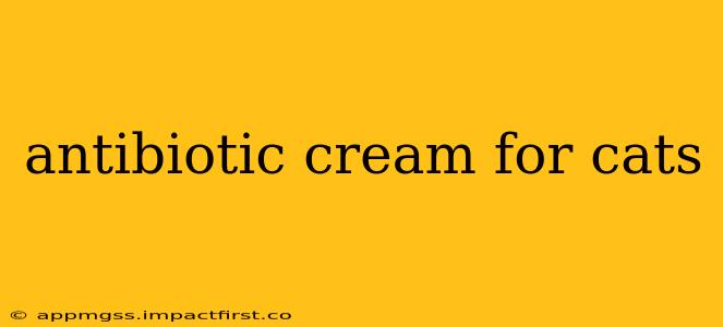 antibiotic cream for cats