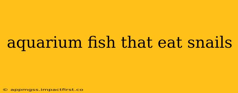 aquarium fish that eat snails