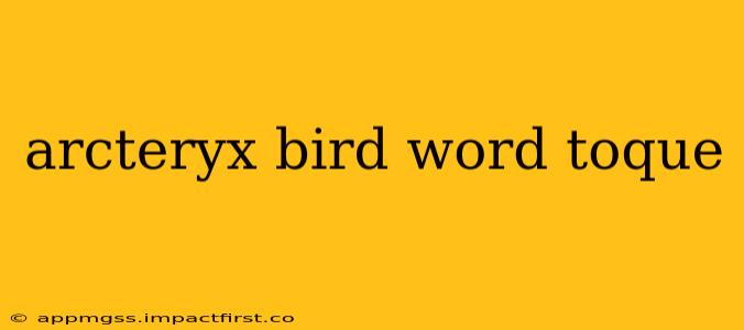 arcteryx bird word toque