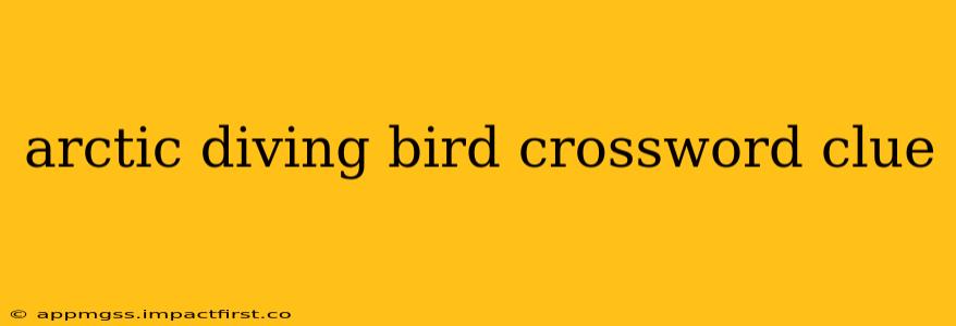 arctic diving bird crossword clue