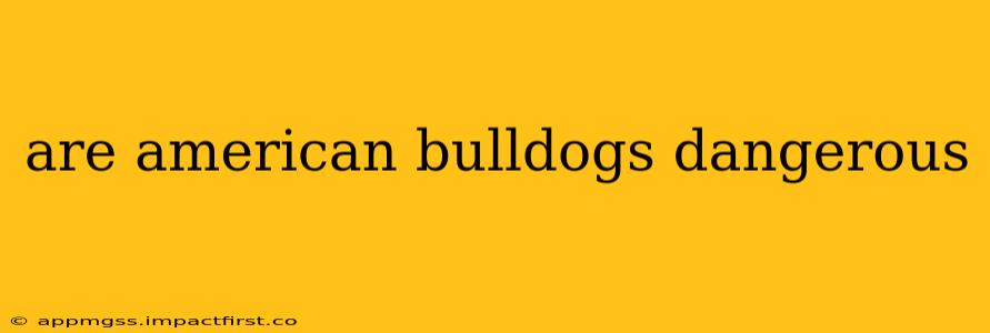 are american bulldogs dangerous