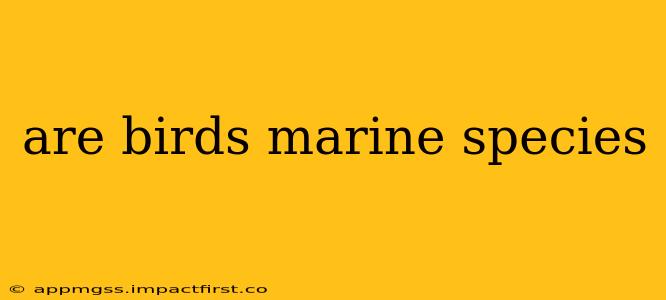 are birds marine species