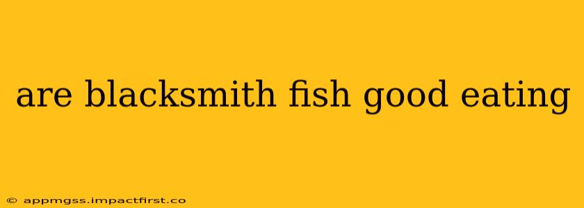 are blacksmith fish good eating