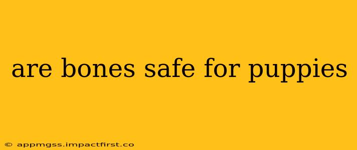 are bones safe for puppies