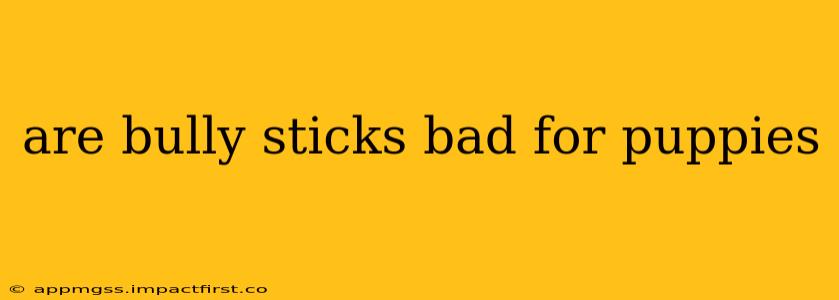 are bully sticks bad for puppies