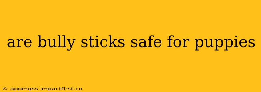 are bully sticks safe for puppies
