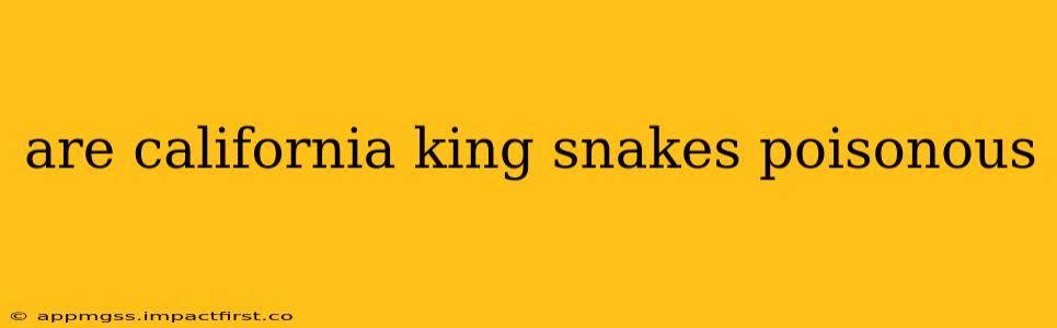 are california king snakes poisonous