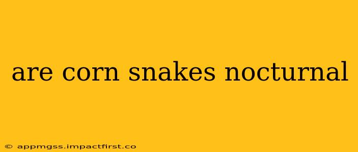 are corn snakes nocturnal