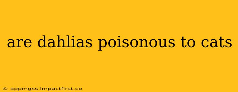 are dahlias poisonous to cats
