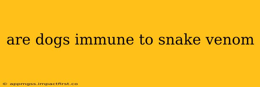 are dogs immune to snake venom