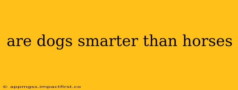 are dogs smarter than horses