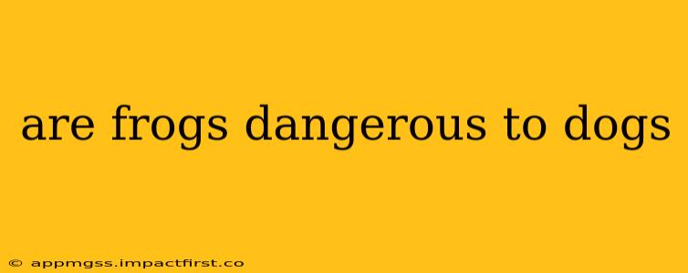 are frogs dangerous to dogs